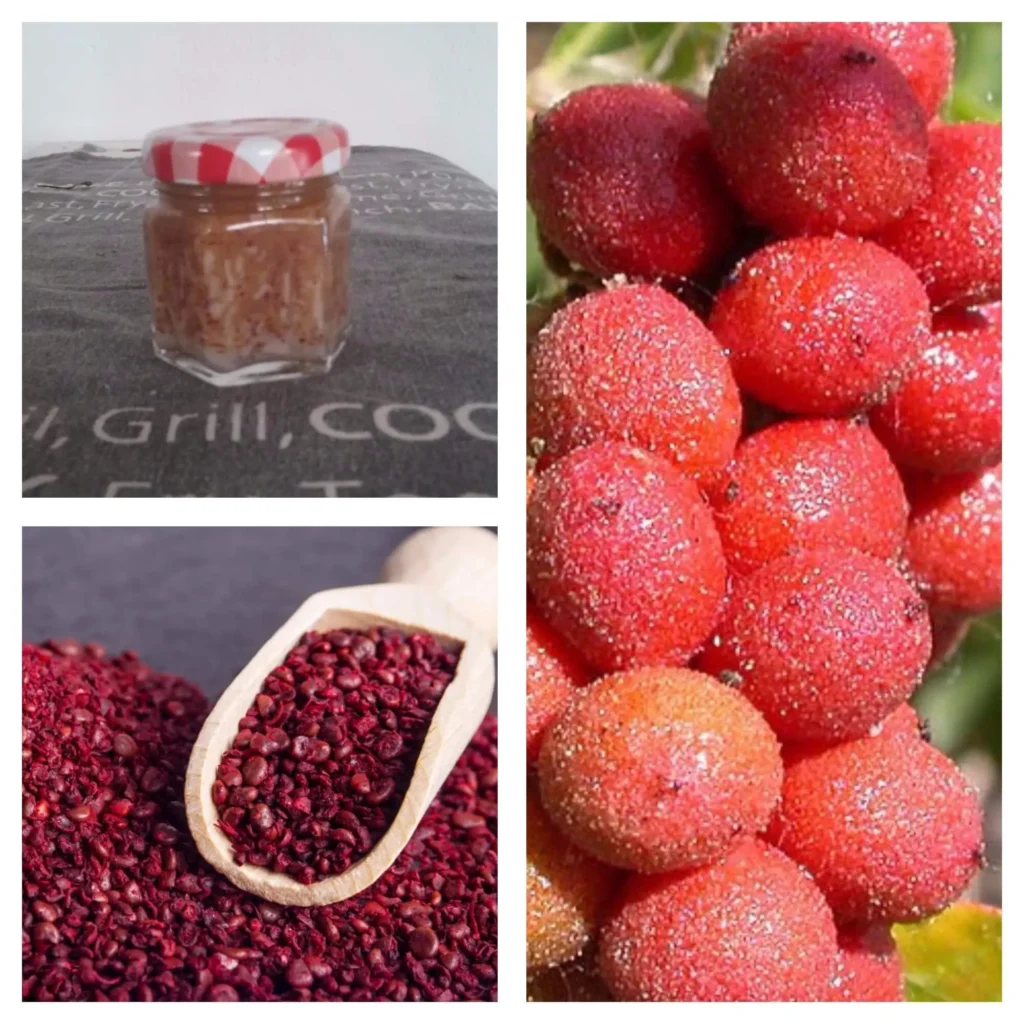 Homemade sumac dressing in a glass jar, ground sumac berries on a wooden scoop, and fresh sumac berries on the branch