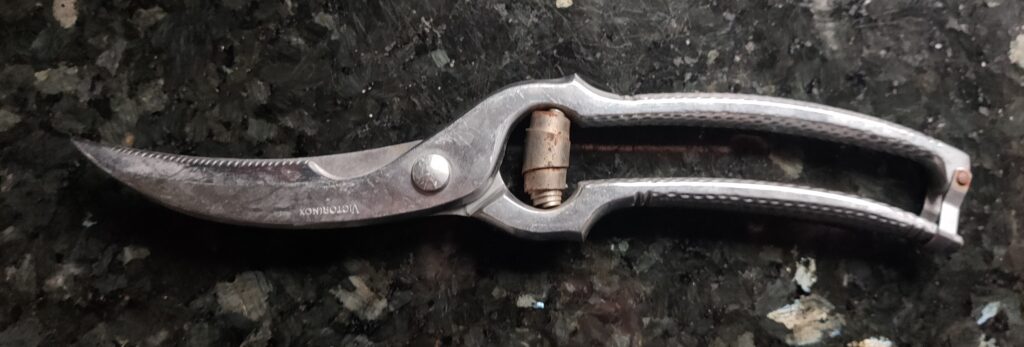 Vintage poultry shears
