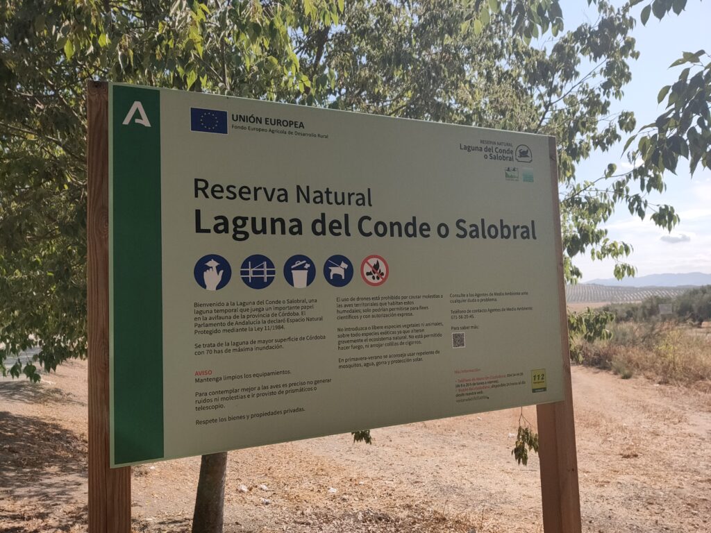 Laguna del Salobral