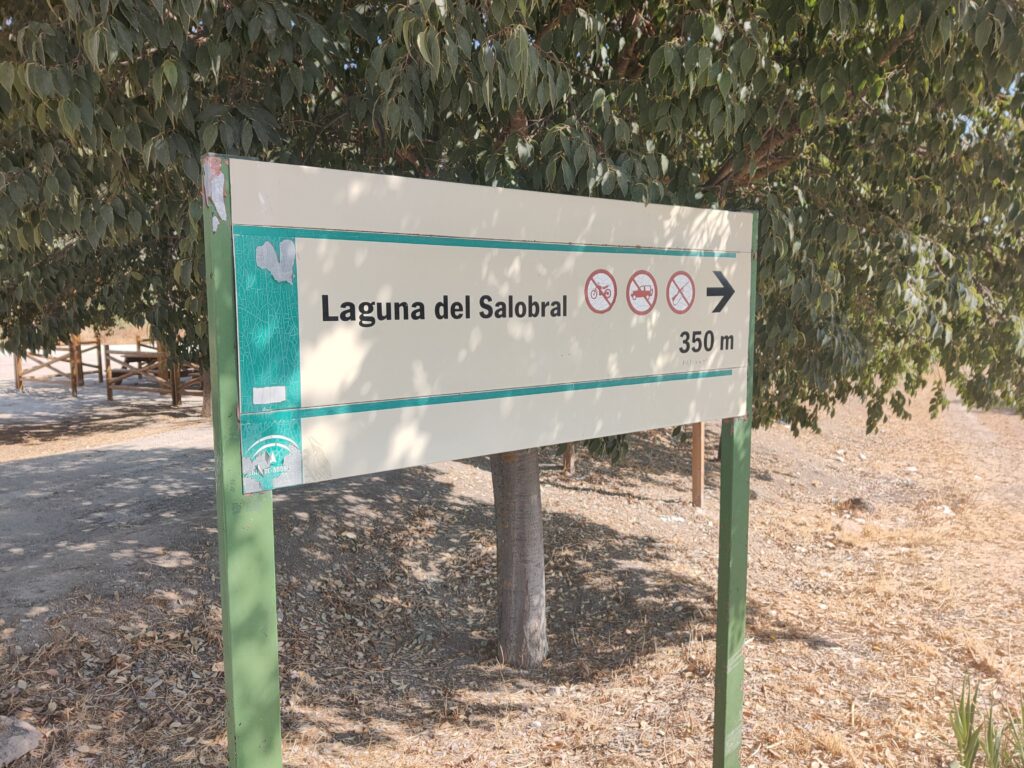 350 metres to Laguna del Salobral