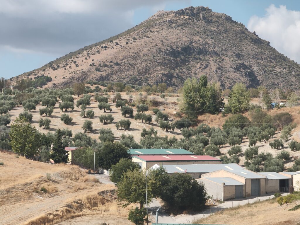 View over Campo del Noalejo