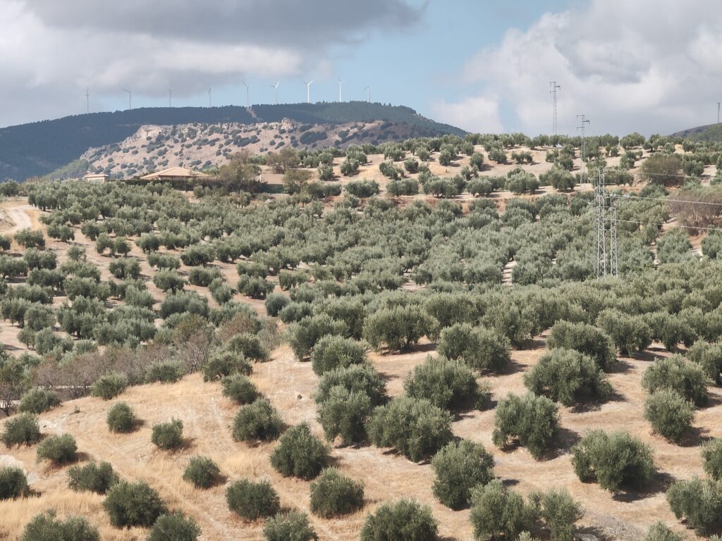 View over Campo del Noalejo