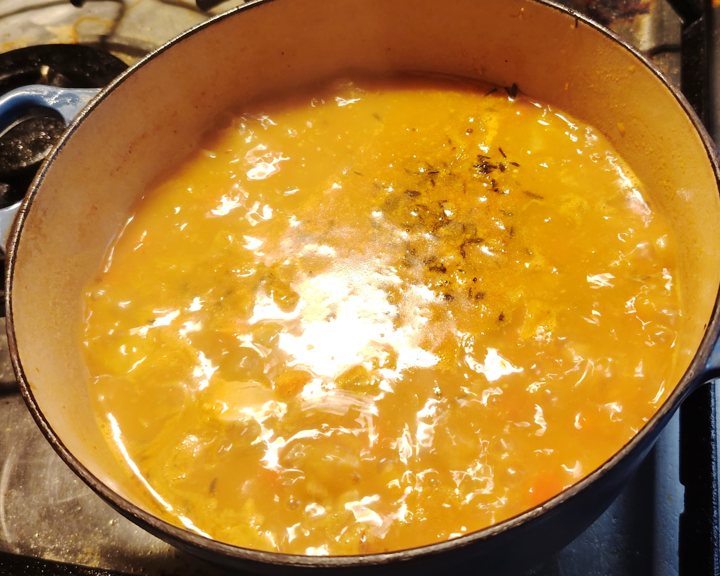 Guinea Fowl Soup 