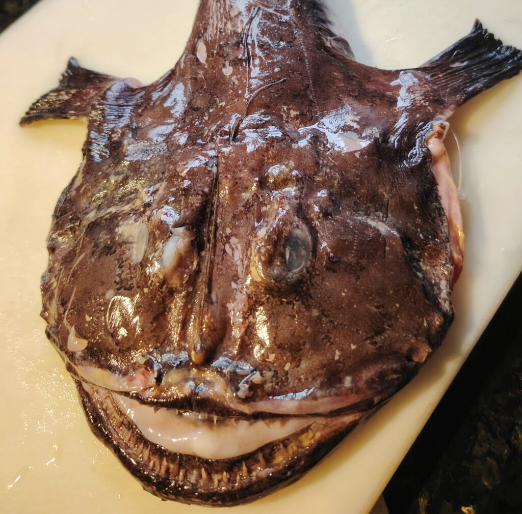 A whole fresh monkfish on a fishmonger's display slab — monkfish recipe — The Flexible Chef