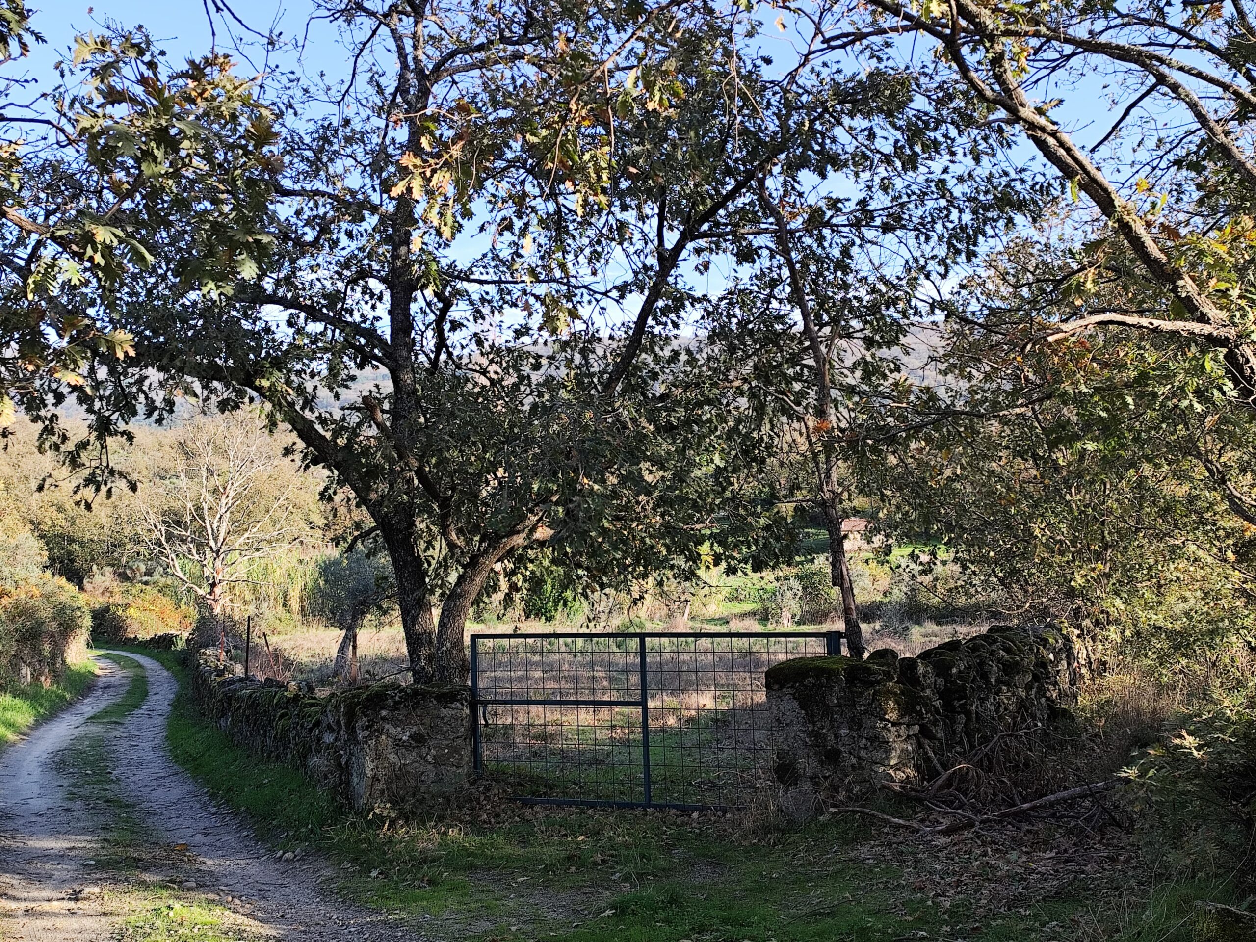 Hermoso Campo main entrance