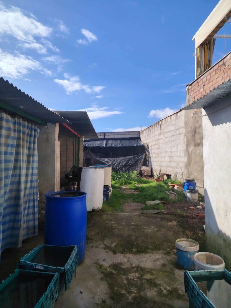 The yard behind Rafa's almacén in Monte Lope Álvarez, a rural village in Andalucía, Spain