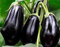 Aubergine curry recipe — made with base gravy and warming spices