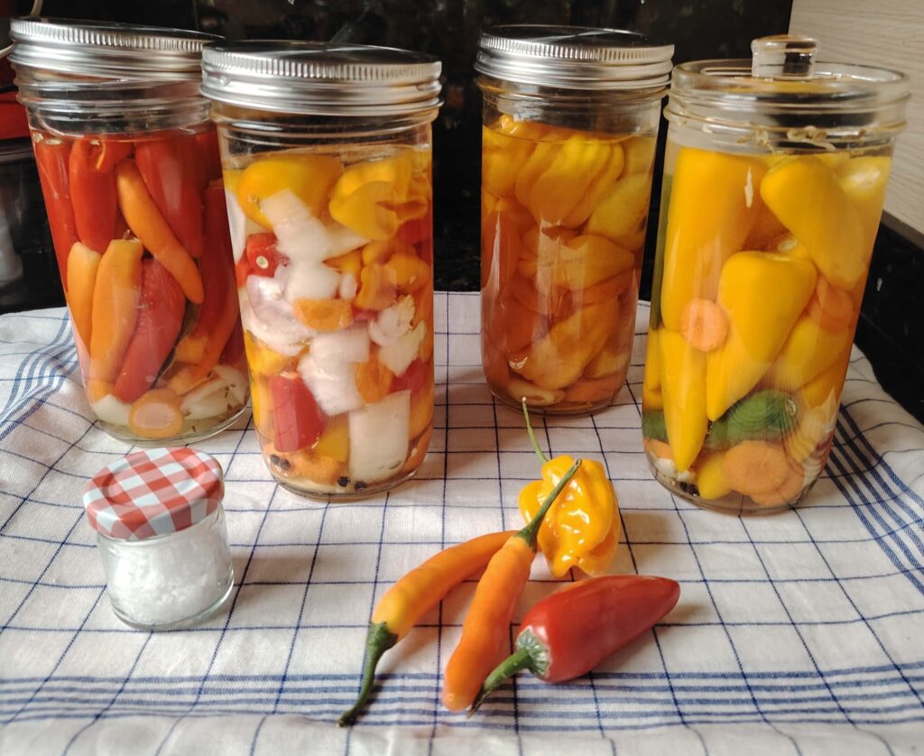 Glass jars of mixed chillies fermenting in a 2% brine at Casa Adora, bubbling gently after the February produce box delivery.