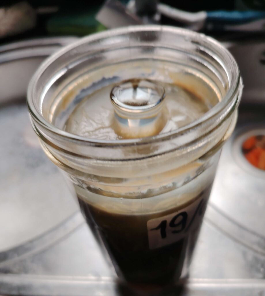 Kahm yeast film on dark brine in a fermentation jar labelled 19/02 — green chilli ferment — The Flexible Chef