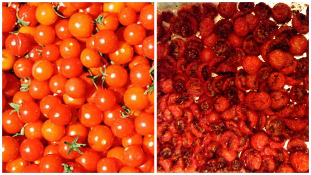Cherry tomatoes before and after sun-drying – sun-dried tomato chicken – The Flexible Chef