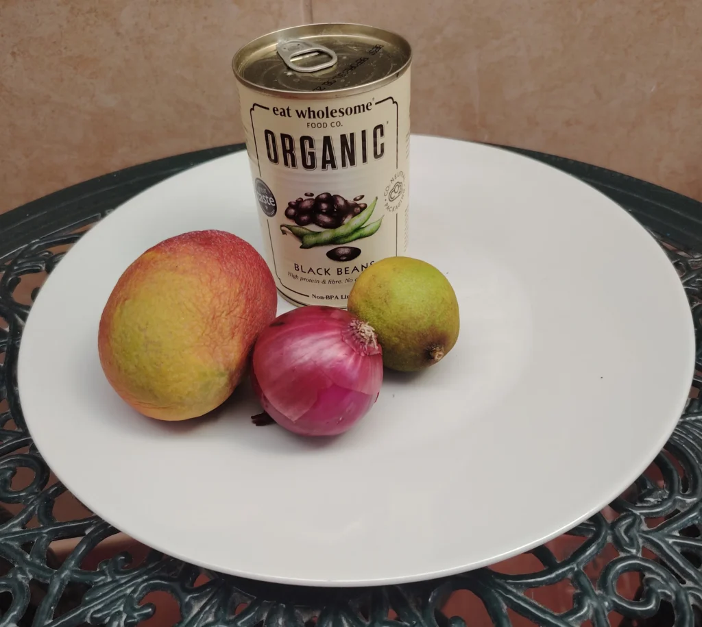 Black bean salsa ingredients — fresh mango, red onion, lime and Eat Wholesome Organic black beans on a white plate on the Casa Adora patio table